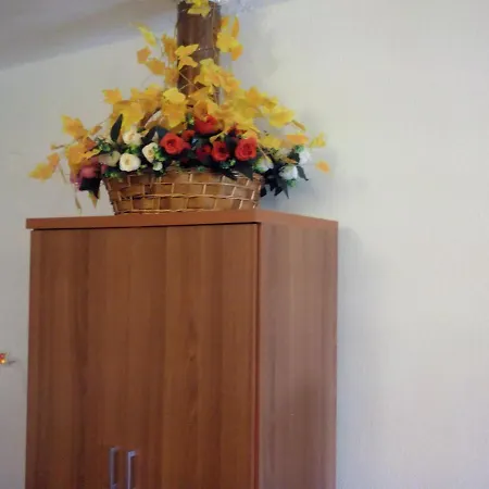 Maison Des Amis Nyaraló Vatopédhion