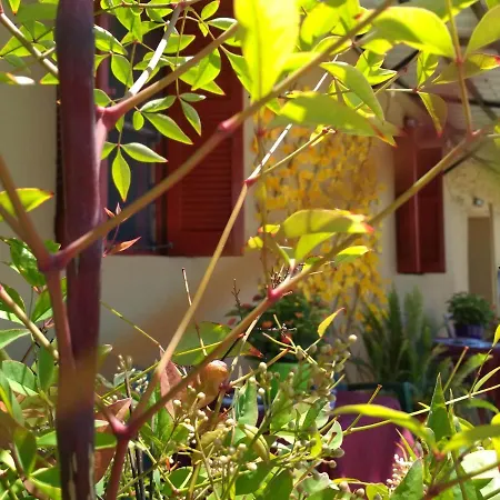 Maison Des Amis Hébergement de vacances *