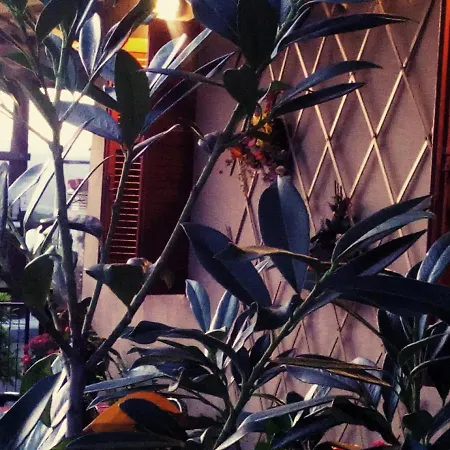 Maison Des Amis Nyaraló Vatopédhion