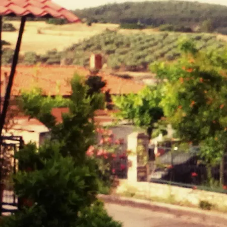 Maison Des Amis Nyaraló Vatopédhion