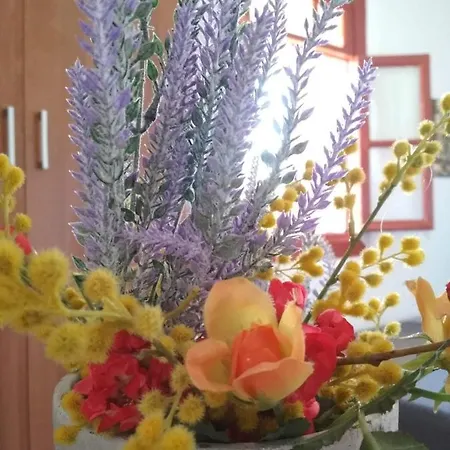 Maison Des Amis Tatil Evi