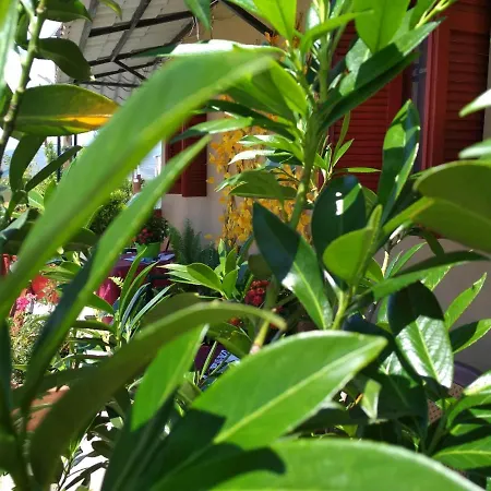 Maison Des Amis بيت للعطل *