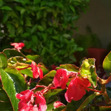 Maison Des Amis بيت للعطل *