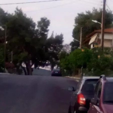 Maison Des Amis * Vatopédhion