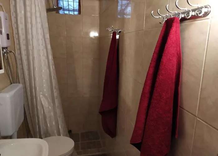 Maison Des Amis * Vatopédhion