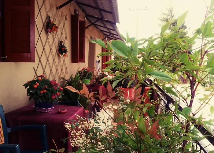 Maison Des Amis * Vatopédhion