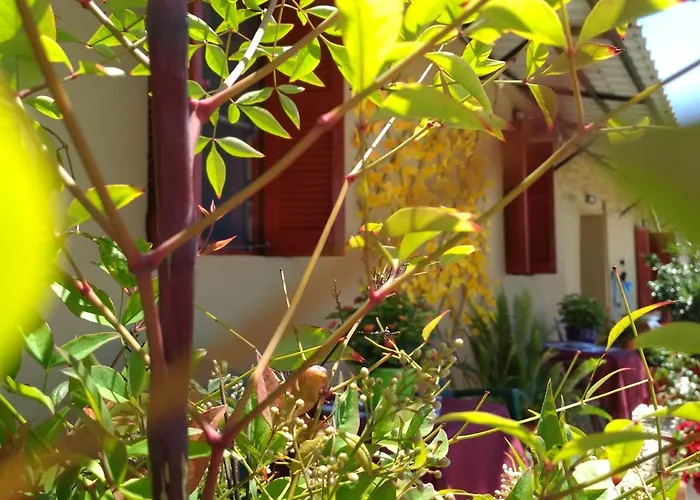 Maison Des Amis Casa vacanze *