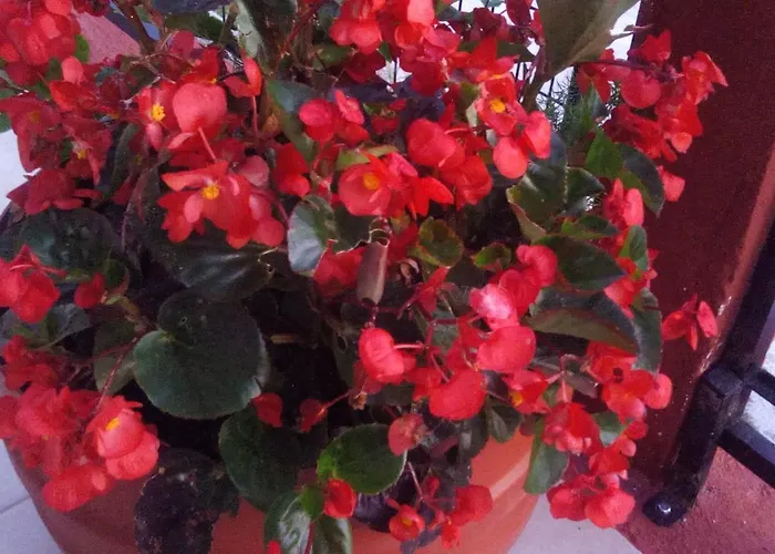 Maison Des Amis Casa vacanze