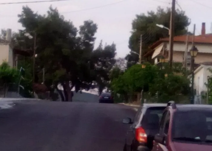 Maison Des Amis * Vatopédhion