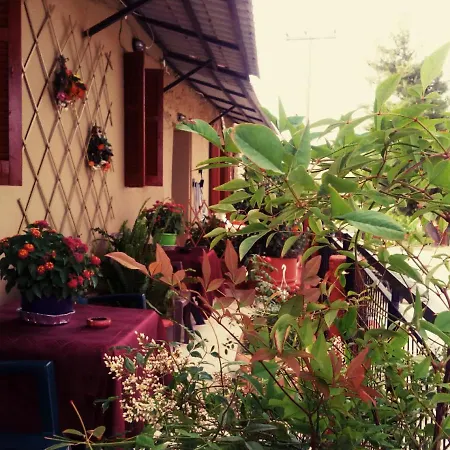 Maison Des Amis * Vatopédhion