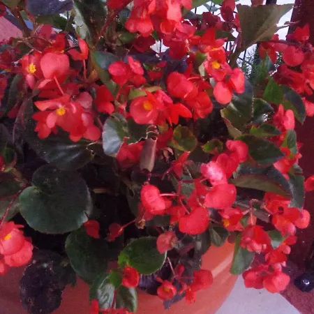 Maison Des Amis Ferienhaus