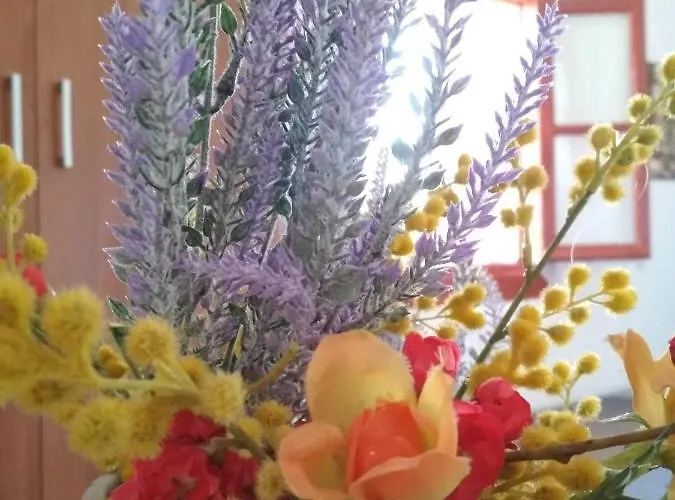 Maison Des Amis בית נופש